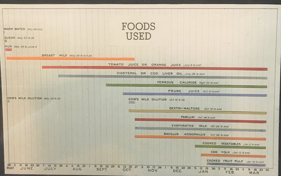 food intake chart